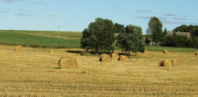 3. VEEHOID Foto 3. Karstilehter põllul Keskkonnaministri 15. juuni 2004.