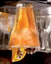 15755 beverage, 29 cl 12,9 cm 8,8 cm 66.15747 beverage, 35 cl 12 cm 8,3 cm 00.13347 super cooler 65 cl 16,3 cm 9,5 cm 00.13093 cooler 47,8 cl 13 cm 9 cm 00.13344 long drink 37 cl 12 cm 8,3 cm 00.