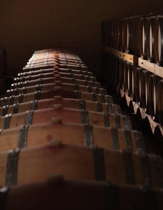 ΦΙΛΟΣΟΦΙΑ ΤΗΣ LYKOS WINERY PHILOSOPHY OF LYKOS WINERY «Χορεύοντας» και οινοποιώντας με τους Λύκους Όλη η πλούσια αυτή εμπειρία της δημιουργίας πέρασε από τον παππού στα εγγόνια, με αποτέλεσμα το