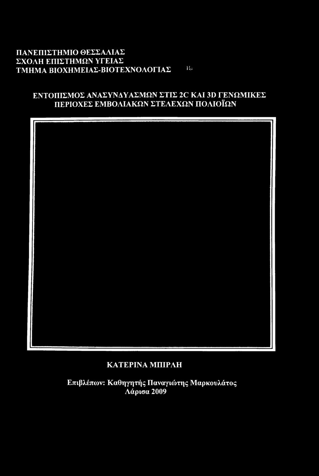 ΣΤΕΛΕΧΩΝ ΠΟΛΙΟΪΩΝ ΚΑΤΕΡΙΝΑ ΜΠΙΡΛΗ