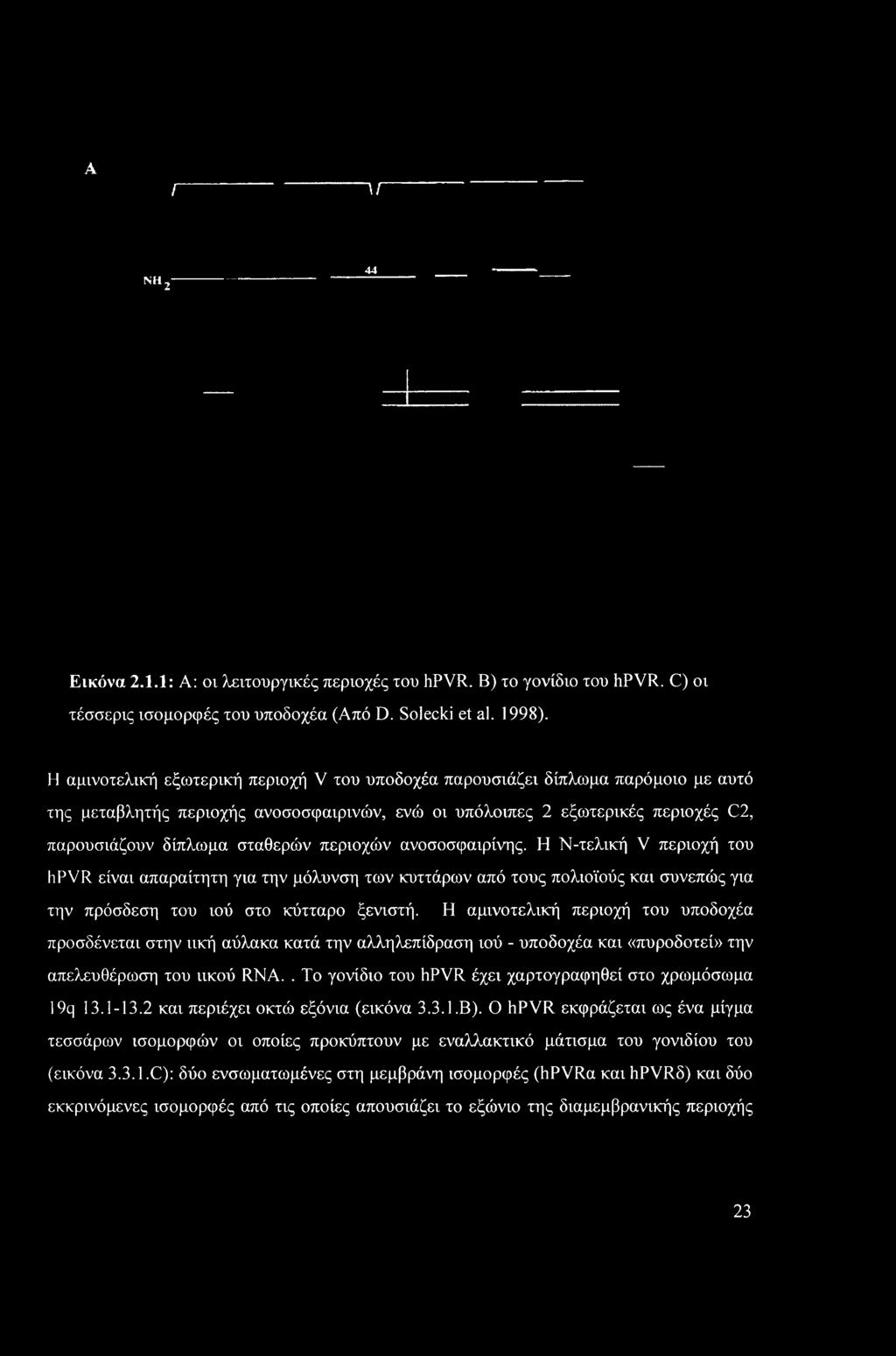 περιοχών ανοσοσφαιρίνης. Η Ν-τελική V περιοχή του hpvr είναι απαραίτητη για την μόλυνση των κυττάρων από τους πολιοϊούς και συνεπώς για την πρόσδεση του ιού στο κύτταρο ξενιστή.