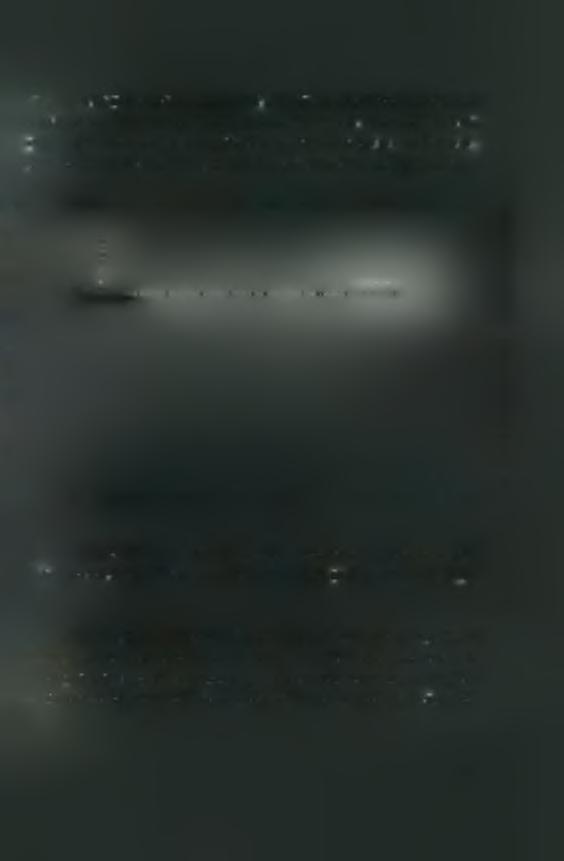 μίσχου του CRE (δομικό RNA στοιχείο στη 2C περιοχή) και την πρόσδεση στο σύμπλοκο της VPg και της 3D. Η 3D χρησιμοποιεί την αλληλουχία 5 AAAC 3 στη θηλιά του CRE (εικόνα 2.5.2) σαν καλούπι και ουριδιλιώνει την VPg σε VPgpUpU.