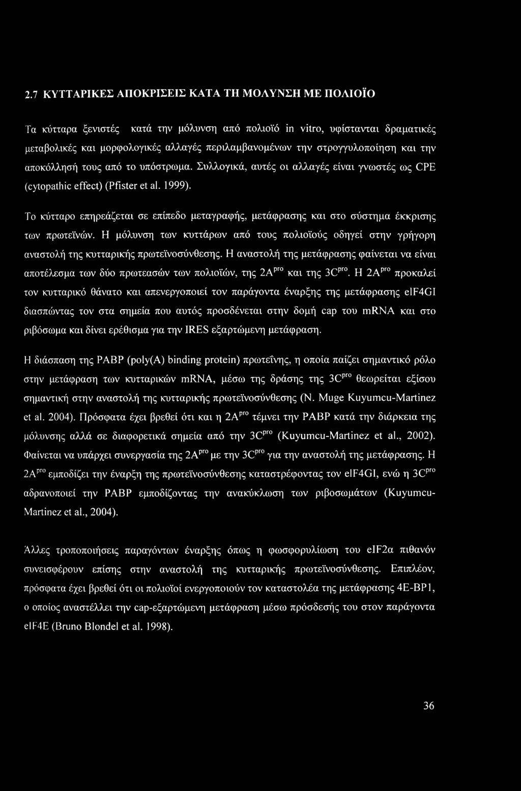 2.7 ΚΥΤΤΑΡΙΚΕΣ ΑΠΟΚΡΙΣΕΙΣ ΚΑΤΑ ΤΗ ΜΟΛΥΝΣΗ ΜΕ ΠΟΛΙΟΪΟ Τα κύτταρα ξενιστές κατά την μόλυνση από πολιοϊό in vitro, υφίστανται δραματικές μεταβολικές και μορφολογικές αλλαγές περιλαμβανομένων την