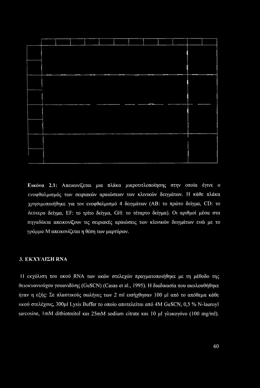 Οι αριθμοί μέσα στα πηγαδάκια απεικονίζουν τις σειριακές αραιώσεις των κλινικών δειγμάτων ενώ με το γράμμα Μ απεικονίζεται η θέση των μαρτύρων. 3.