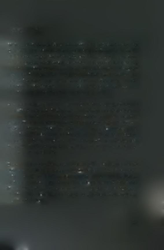 ΣΥΖΗΤΗΣΗ Το γένωμα των περισσοτέρων RNA ιών χαρακτηρίζεται από υψηλούς εξελικτικούς ρυθμούς.