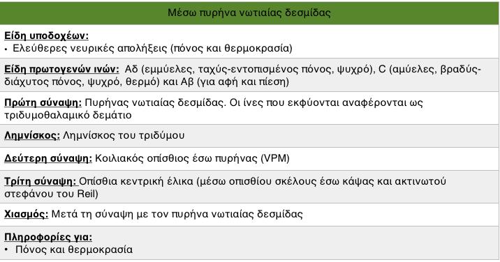 Αντανακλαστικά μασητήριων μυών Από τους μασητήριους μύες χορηγούνται ιδιοδέκτριες ίνες οι οποίες