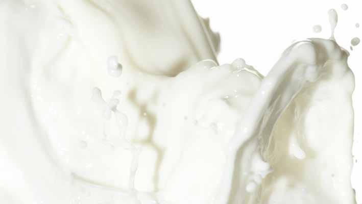 Προϊόντα Fugar forzalatte Συμπλήρωμα πρωτεΐνης αποκλειστικά από γάλα. Χωρίς φυτικά λιπαρά και υδρογονωμένα φυτικά λιπαρά.