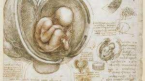 1. Σχέδιο απεικόνισης εμβρύου στη