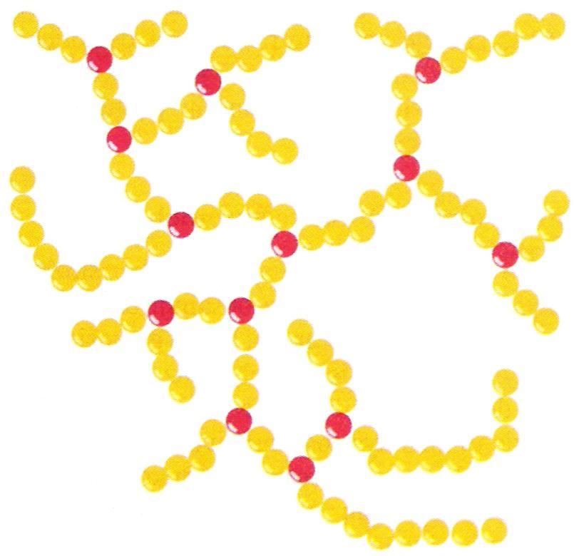 ŠKROB α-glukán (placetálvý