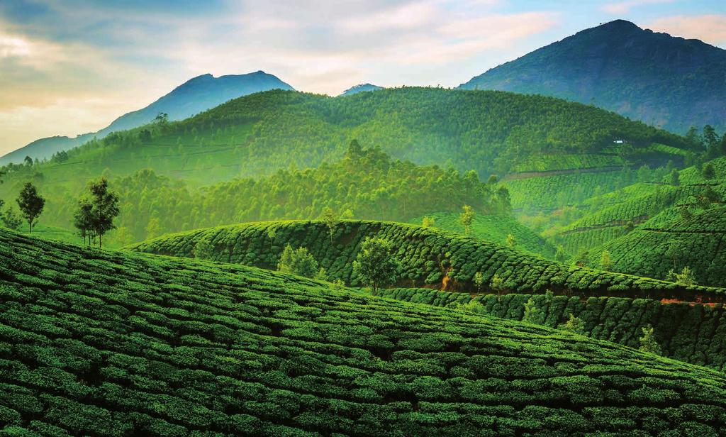 Jún v znamení štíhlych kriviek, radosti a energie VĎAKA ORGANIC MATCHA Chcete si užívať teplé letné dni v duchu relaxácie, čistej mysle a prílivu energie? To všetko bez kávového dopingu? Neveríte?