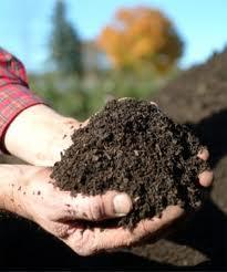 cerută pentru aplicarea nămolului cu rata de 5 tone s.u./an Teren agricol adecvat utilizării nămolului (milioane ha) Proporția de teren agricol adecvat cerută sau utilizată (nivel național) (mii tone s.