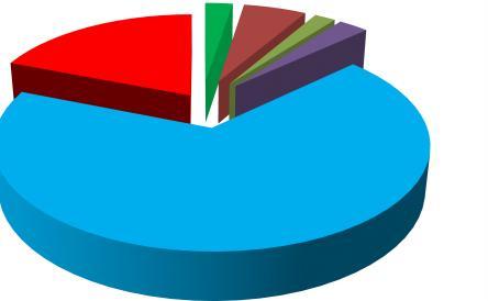 2,54% 5,81% 1,96% 19,02% 67,88% 2,77% Depunere din atmosfera Scurgere de suprafata Figura 3.