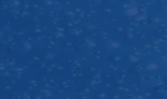 21 6912 545 e-mail: