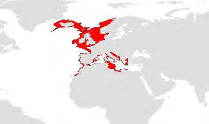 θάλασσα (Εικ.1.2) (Fisher et al. 1987, Relini et al. 1999).