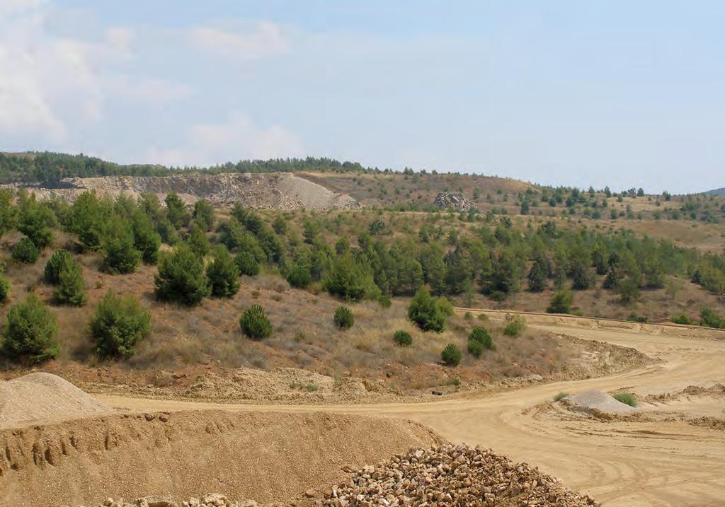 Ανεκμετάλλευτη παραμένει, προς το παρόν, η δυνατότητα αξιοποίησης ολιβίνη στο μεταλλείο του Βάβδου, όπου το ΙΓΜΕ έχει εντοπίσει αξιόλογα αποθέματα με δυναμική προοπτική εκμετάλλευσης.