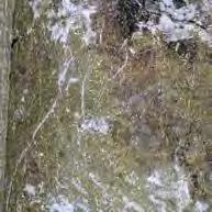 works of galena, sphalerite and