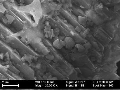 Introducere In prezentul proiect, obiectivul acestei etape este caracterizarea prin microscopie electronica de baleiaj (SEM), difractie de raze X si spectroscopie Raman a 4 probe dupa cum urmeaza: i)