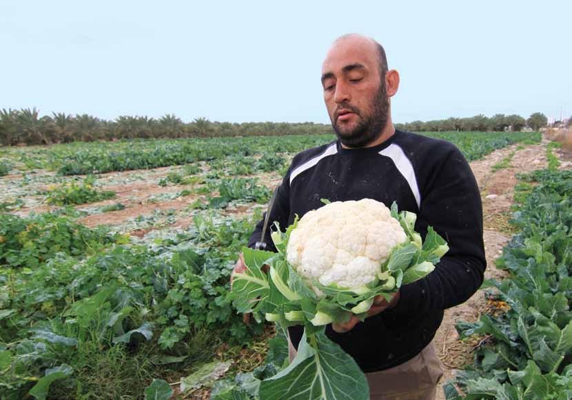 الزراعة الفلسطينية تحت وطأة االحتالل مصادرة األراضي ممارسات العنف ىلع املزارعين الخناق املفروض ىلع وصولهم إلى األسواق الخارجية إغراق األسواق الفلسطينية باملنتجات اإلسرائيلية املدعومة تركيز مشاريع