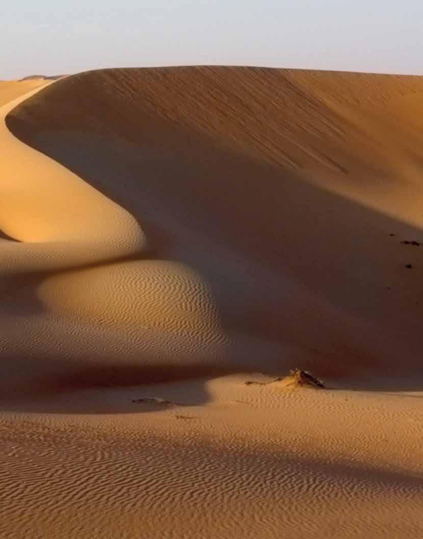 كتاب الطبيعة 7 صحارى كانت غابات تحدث تغيرات كثيرة يف الطبيعة