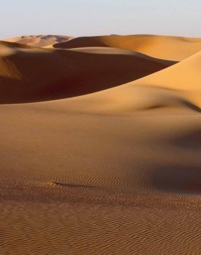 الربع الخالي ا كبر صصهراء رملية متواصصلة في