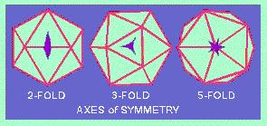Ikozaeder je sestavljen iz 20 trikotnih ploskev.