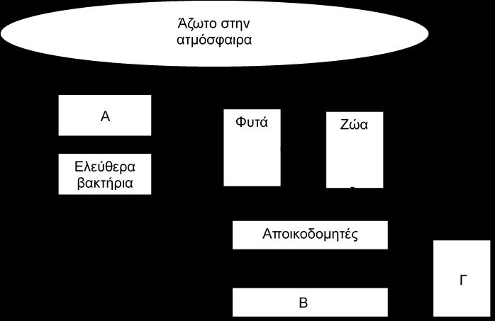 (α) (γ) Να αναφέρετε ένα (1) μηχανισμό με τον οποίο, στη Ρευματοειδή Αρθρίτιδα, καταστρέφονται τα κύτταρα του αρθρικού θύλακα στην άρθρωση.