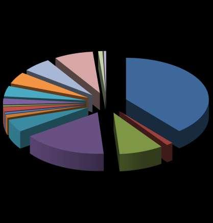Distribuţie salariaţi în 2011 pe principalele sectoare de activitate Industrie Agricultură, sivicultură şi pescuit Construcţi Comerţ 2% 4% 0% 2% 1% 1% 5% 5% 6% 16% 8% 1% 1% 9% 39% Transporturi şi