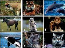 2. Μπορείς να συμπληρώσεις τα κουτάκια με τις ονομασίες των ζώων;