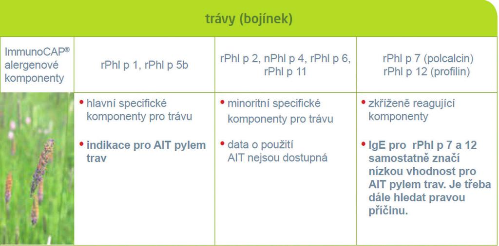 OKIA ALERGIA NA TRÁVY ALEBO PEL BREZY?