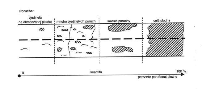 Vývoj každej poruchy pokračuje aj v jej kvantitatívnej zmene. Poruchy sa rozširujú do okolitých plôch. Kvantitatívne sa poruchy rozdeľujú podľa veľkosti porušenej plochy.