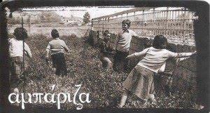 3. H αμπάνηδα Τα παηδηά πςνίδμκηαη ζε δύμ ηζάνηζμεξ μμάδεξ. Ε θάζε μμάδα έπεη ηεκ έδνα ηεξ πμο μκμμάδεηαη Μάκα. Σθμπόξ ημο παηπκηδημύ είκαη μ έκαξ κα αθμομπήζεη ημκ άιιμ.