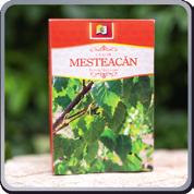 Betula Verrucosa mesteacăn o Descriere produs: Face parte din familia Betulaceae, fiind un arbore foios, cu scoarța albă şi netedă şi frunze ovat-triunghiulare, dințate, care rezistă în cele mai
