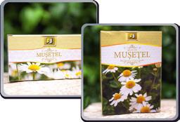 Matricaria Chamomilla Mușețel o Descriere produs: Este o plantã ierboasã, aromatã, mai este cunoscut şi sub numele de romanițã.