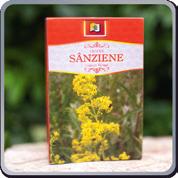 sânziene Galium Verum o Descriere produs: Fac parte din familia Rubiaceae, fiind o plantă cu flori galbene, mici şi dese ca o ploaie de stele, cu un parfum dulce şi un gust contrastant puternic amar.