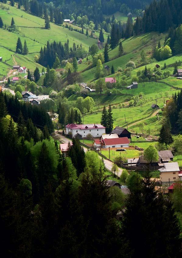 2 soluții