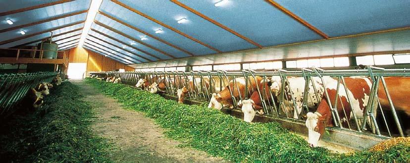 10 STYROFOAM izolaţie pentru clădiri agrozootehnice Metode moderne în agricultură necesită clădiri eficiente în care temperatura şi umiditatea să poată fi controlată cu precizie.