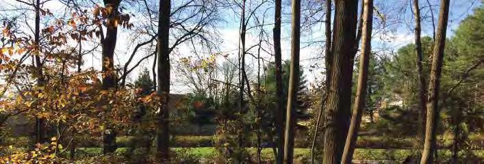 Site # R2 Done By: JJW/KTT Meter: 1 11119 Loran Road, Great Falls, Virginia