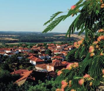 20.6 Κλίμα μεταβατικό (Θράκη: Δαδιά) Επεκτείνω τις γνώσεις μου Οι αλκυονίδες μέρες Αλκυονίδες μέρες ονομάζουμε την περίοδο του χειμώνα κατά την οποία στην Ελλάδα (και γενικότερα στην ανατολική