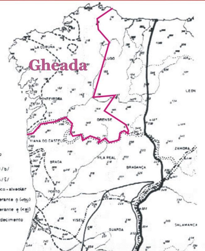 Consoantes s: reaizacións. A gheada gaega OCLUSIVAS GALEGO PORTUGUÉS N PORTUGUÉS C-S PORT.