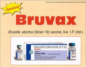 Όχι εμβόλιο για τον άνθρωπο Αποτελεσματικό εμβόλιο για τα ζώα Προφύλαξη μετά την έκθεση εργαστηριακών Doxycycline και
