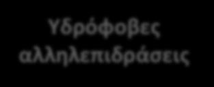 Van der Waals Αποδιαταγμένη πρωτεΐνη Το υδρόφοβο κέντρο περιέχει μηπολικές πλευρικές αλυσίδες Οι δεσμοί υδρογόνου