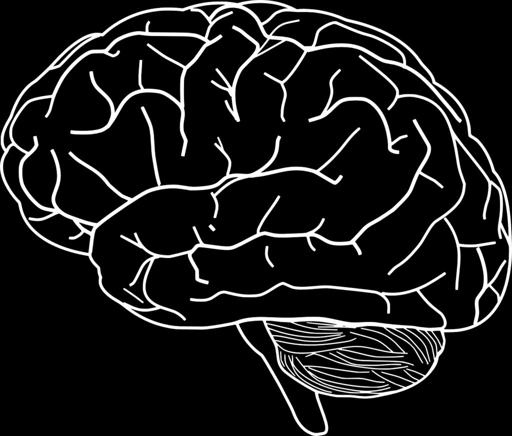 2 Στόχοι της Πανελλήνιας Ομοσπονδίας Νόσου Alzheimer & Συναφών Διαταραχών και του περιοδικού Η Ομοσπονδία δημιουργήθηκε με στόχο: 1.