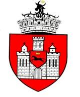 MUNICIPIULUI IAŞI B-dul Stefan cel Mare şi Sfint nr.