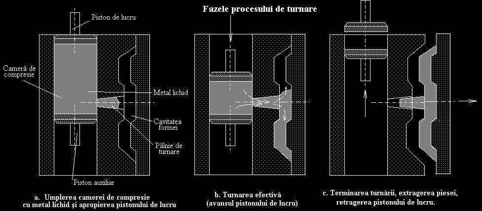 lamele drepte bine dezvoltate.