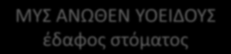 ΜΥΣ ΑΝΩΘΕΝ ΥΟΕΙΔΟΥΣ ζδαφοσ ςτόματοσ ΜΤ ΕΚΦΤΗ ΚΑΣΑΦΤΗ ΝΕΤΡΩΗ ΛΕΙΣΟΤΡΓΙΑ γνακοχοειδισ γενειοχοειδισ Γνακουοειδι γραμμι κάτω γνάκου Κάτω γενειακι άκανκα κάτω γνάκου Γνακουοειδι ραφι, ςϊμα υοειδοφσ Κλ.