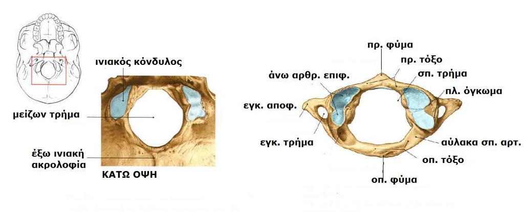 ΑΤΛΑΣ