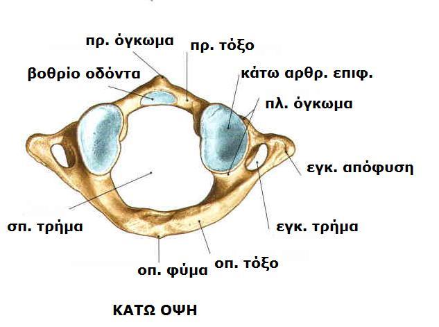 ΑΤΛΑΣ
