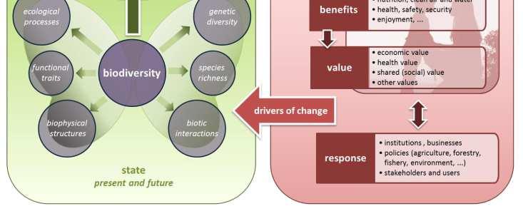 that each parameter of the framework needs to be studied and