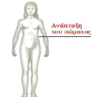 Η γπλαηθεία ιεθάλε, ε πύεινο θαξδαίλεη θαη πνζόηεηα ιίπνπο ζπγθεληξώλεηαη ζηα ηζρία θαη ηνπο κεξνύο.