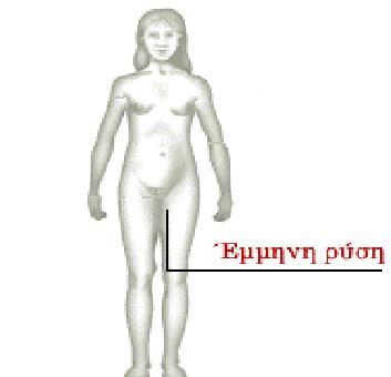 1-2 ρξόληα. Οη ηξίρεο απηέο ζπρλά είλαη πην ζθιεξέο θαη ζγνπξέο από απηέο ηωλ καιιηώλ. Εμμηνη Ρύζη Η ππώηη πεπίοδορ (έμμηνη πύζη) εκθαλίδεηαη ζε ειηθία 9-12 εηώλ.
